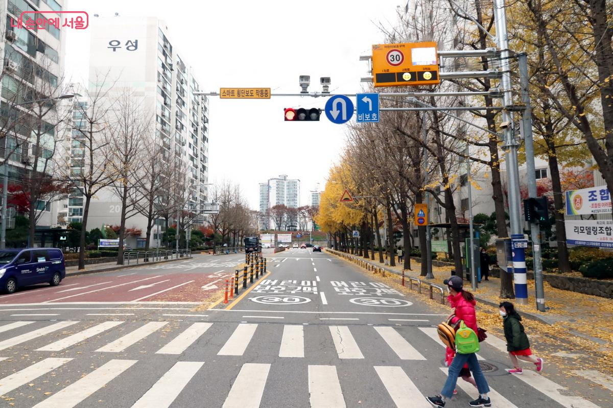 A pedestrian push-button signal (보행자작동신호기) beside a crosswalk in Korea. Photo: Naver News