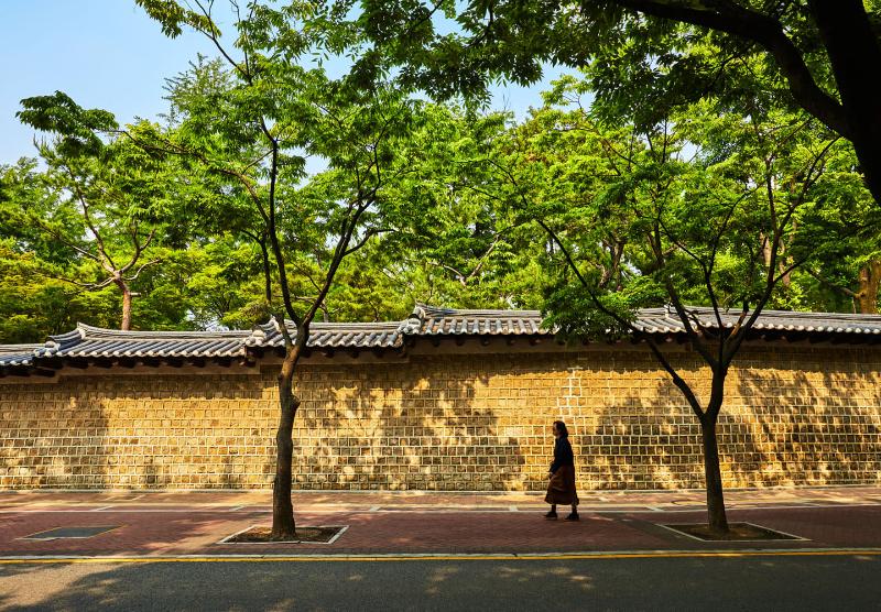 A pedestrian walks along the Deoksugung Palace stone wall road in Seoul. Photo: Visit Seoul